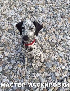 Почти не видно