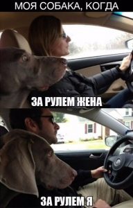 Разница очевидна