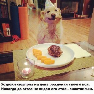 Радость во всех