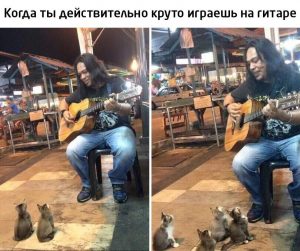 Собираешь толпу