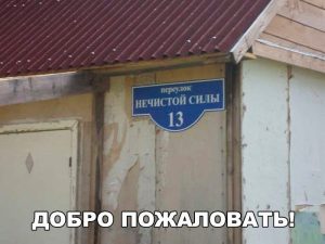 Ту везде чёрные коты