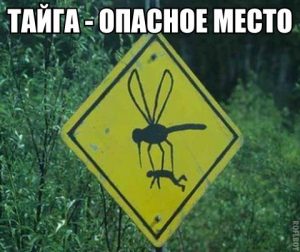 Тут всё бывает