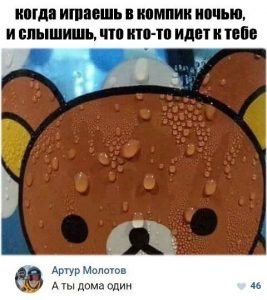 А это кот