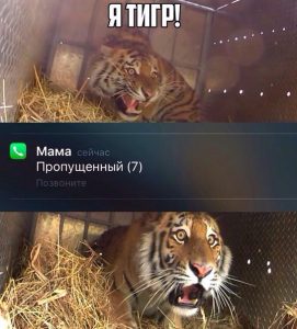 Ало всё в порядке