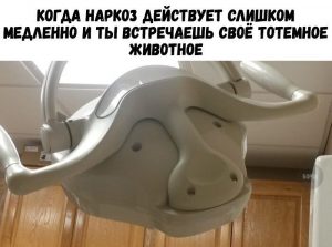 Бык