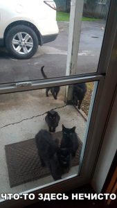 Что-то магическое