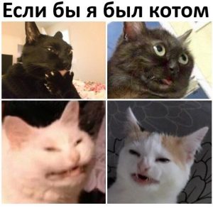 Я был бы весёлым