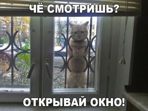 Я есть хочу