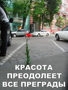 И все преграды