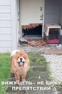 Иду на пролом