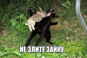 Или будет худо