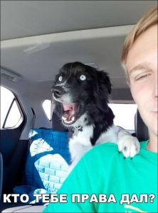 Инструктор