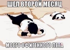Лучшее лето