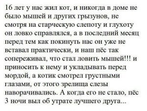 Лучшие друзья