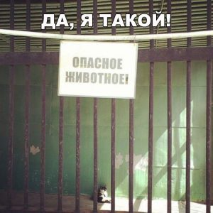 Меня все боятся