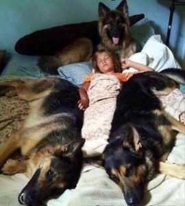 Надёжная охрана