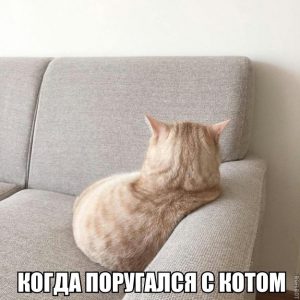 Ну прости