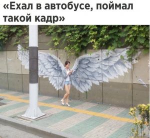 Она птица