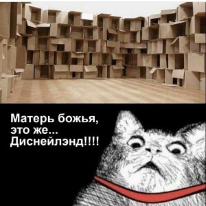 Отель для котов