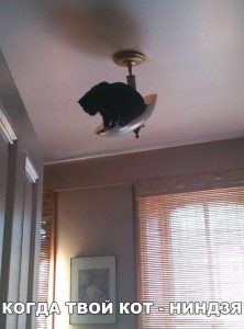 Решил погреться