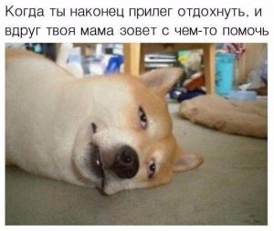 Сейчас приду