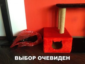 Шуршащий пакет
