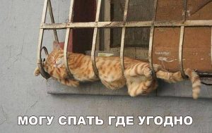 Удобно везде