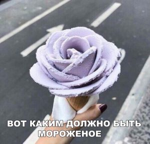 Холодное