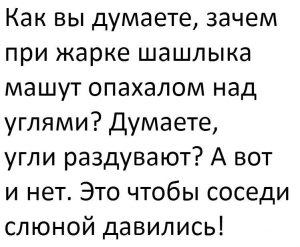 А соседи тоже жарят шашлыки
