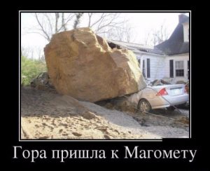 Дождался