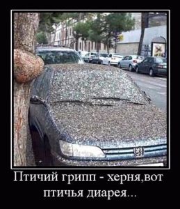 Эта какой-то ужас