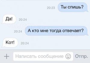 Кот не спит