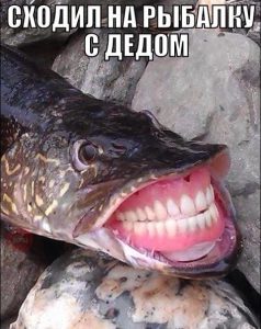 На нас напала рыба