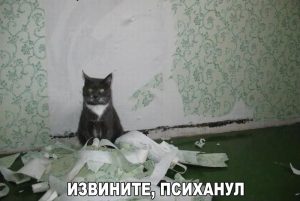 Пойду посплю