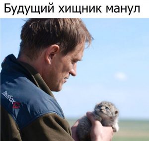 Растёт зверь