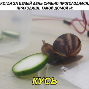 Вкусно