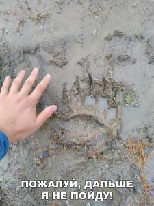 А то вдруг что