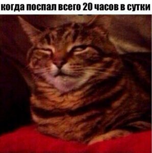 Надо больше