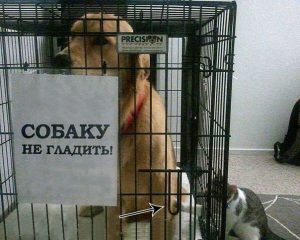 Нарушитель