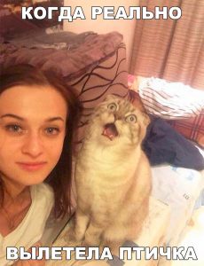 Но ты её не поймал