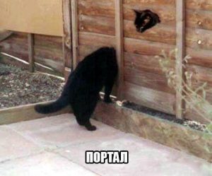 Или длинная шея
