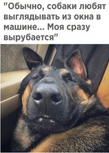 Он отдыхает