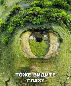 Глаз земли