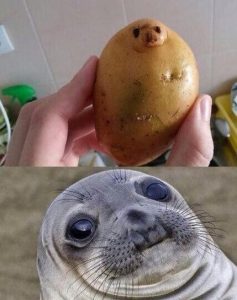 ПохожиПохожи