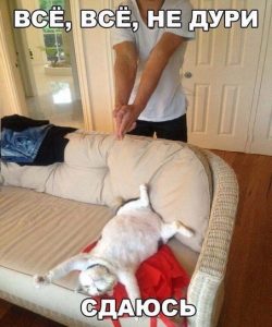 Устал он биться