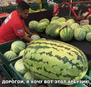 Он такой маленький
