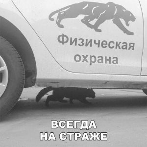 Уже тут