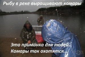 Умно придумали