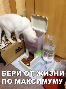 Умный поступок