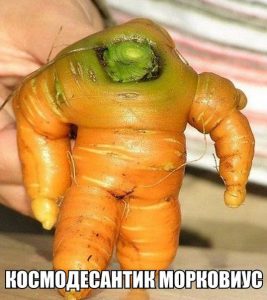 Высадился на Землю